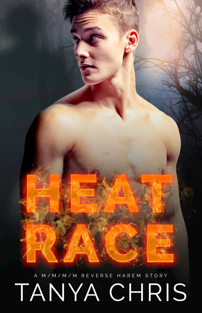 Book Cover: Heat Race